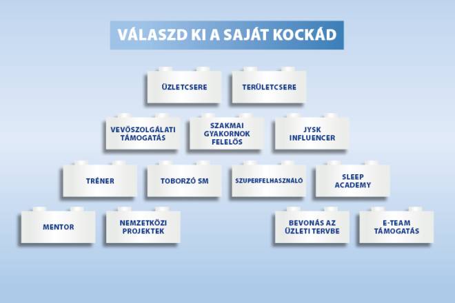 Image that shows you an overview of which bricks you can choose